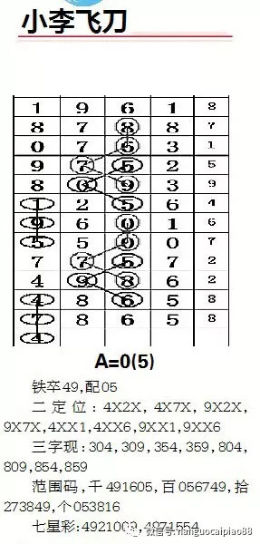 新澳平碼出碼公式，揭秘背后的秘密與策略，揭秘新澳平碼出碼公式，背后的秘密與策略解析
