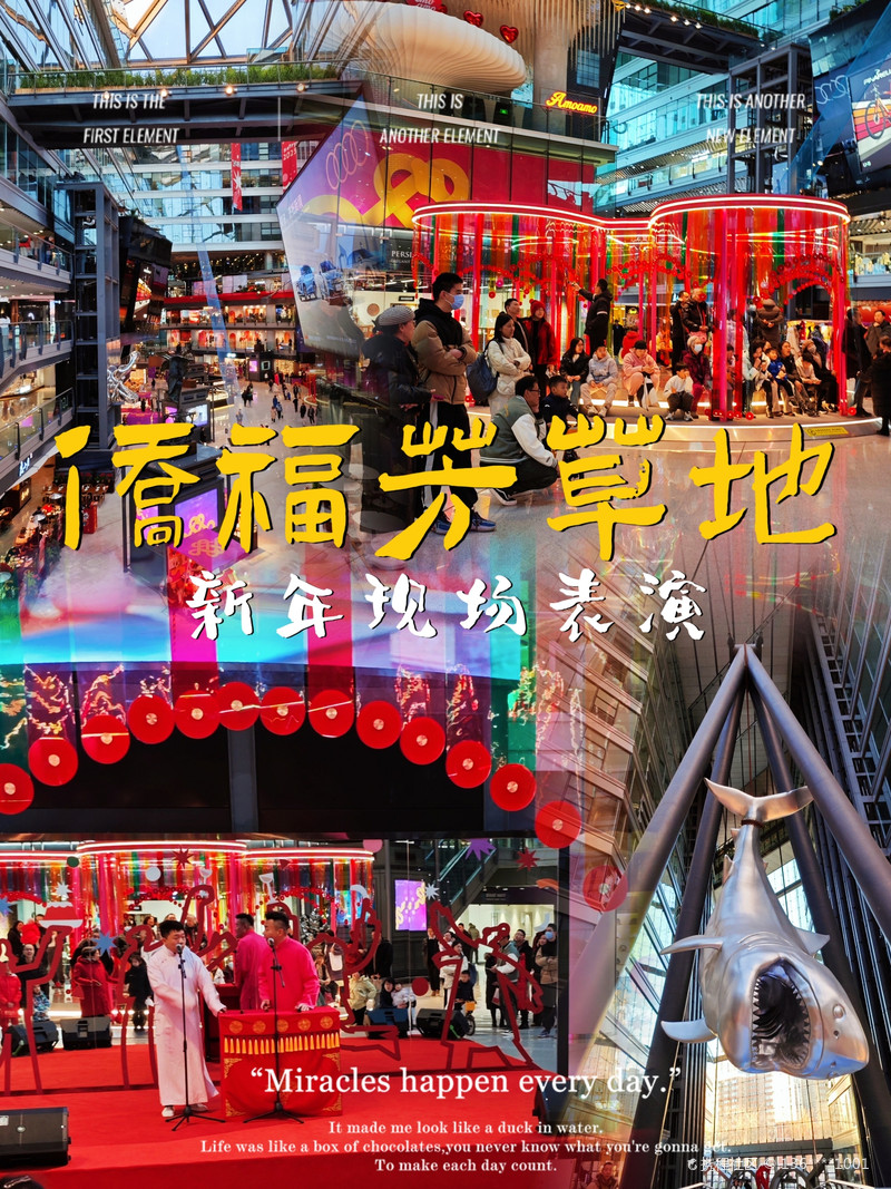 最新揭秘，2024新澳芳草地全方位資料詳解，揭秘2024新澳芳草地全方位資料，最新詳解