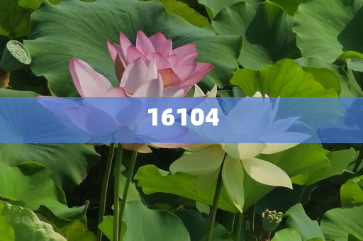 新奧600圖庫(kù)2025，探索與前瞻，新奧600圖庫(kù)2025，深度探索與未來(lái)展望