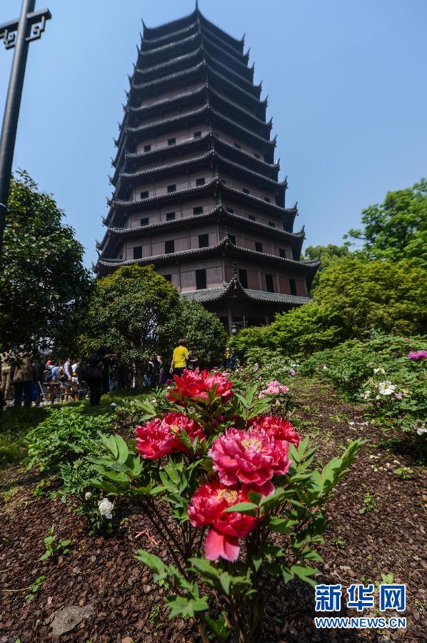 六和彩開碼資料網(wǎng)——探索彩票世界的門戶，六和彩開碼資料網(wǎng)，彩票世界探索之門